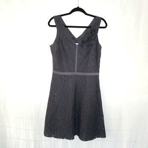 seamline  cynthia steffe Lace Dress